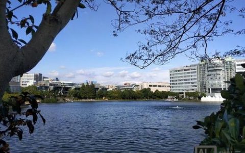 张江Java岗招聘，要求与薪资如何？