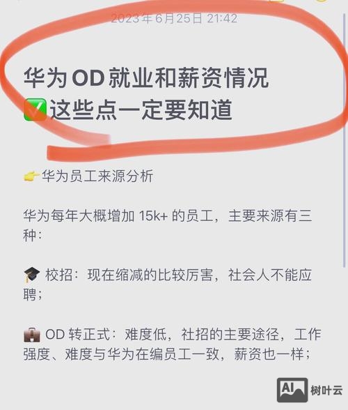 odoo erp招聘