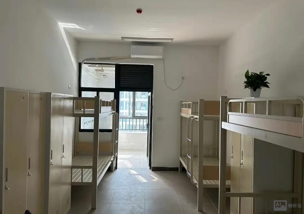 招聘 外包 判断