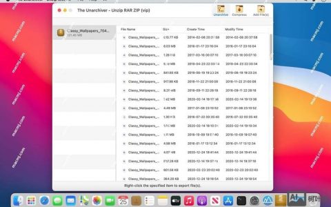 服务器压缩命令有哪些常用选项？