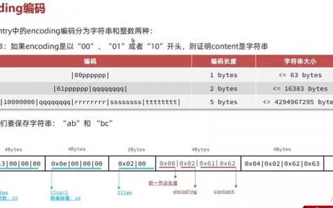 命令行如何正确启动Redis服务？
