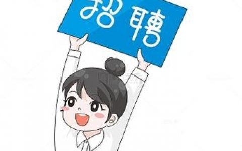 动画微招聘，具体岗位和要求是什么？