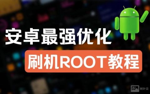 root设备如何运行网上国网？
