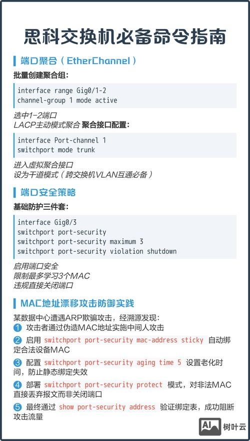常用交换机命令