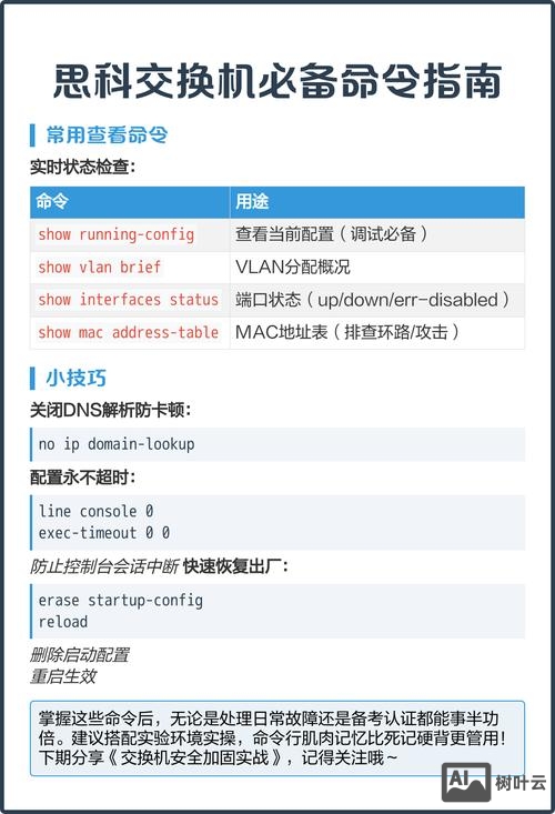 常用交换机命令