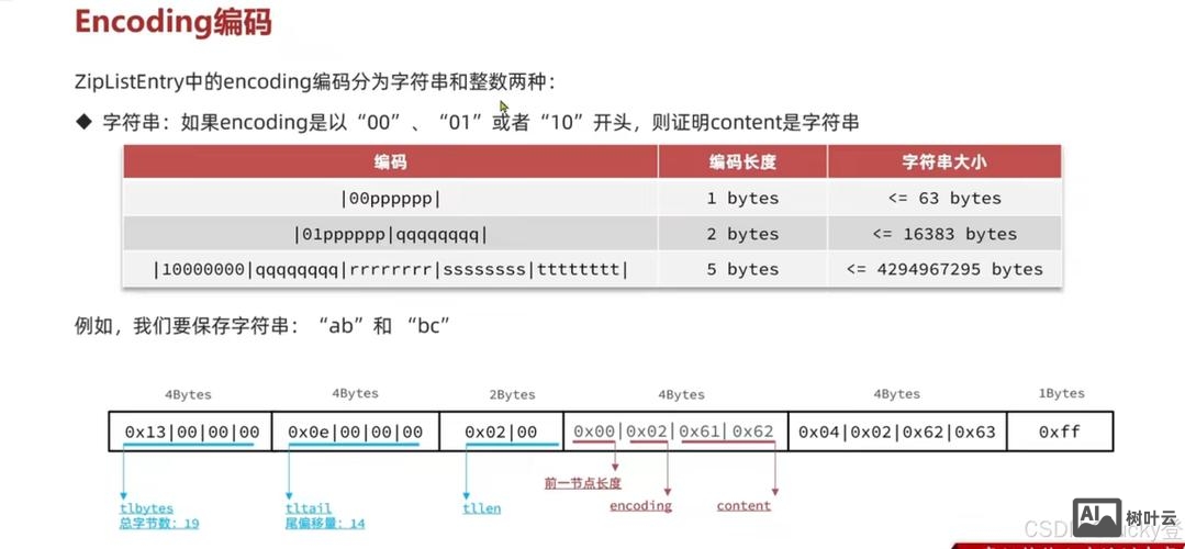 命令行打开redis