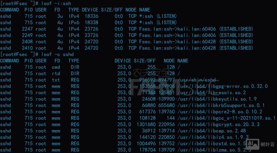 linux命令行基础
