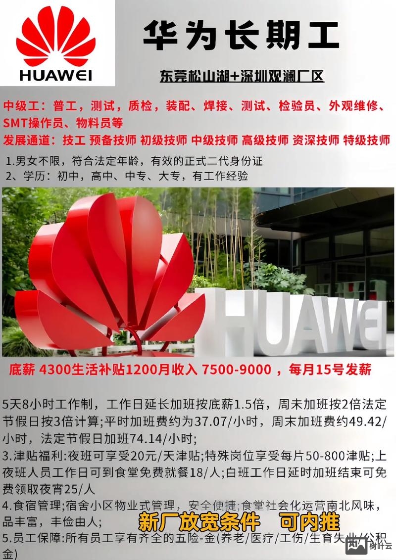 荷兰华为招聘