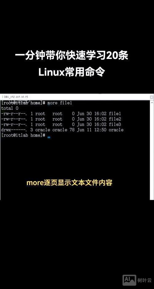 linux显示命令行