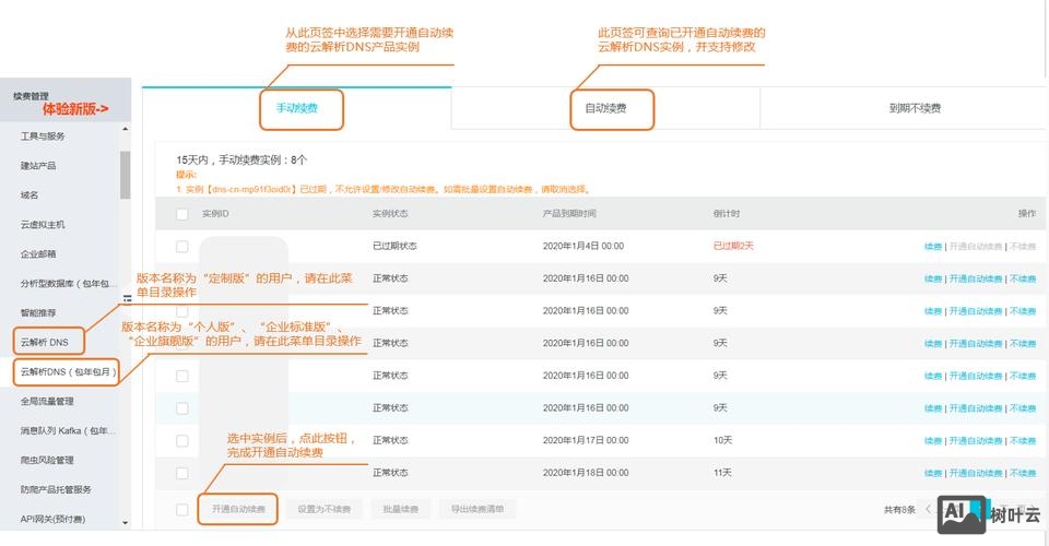 偿还期的域名如何续费