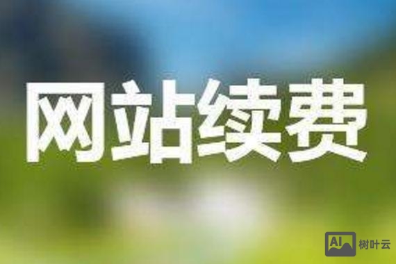 偿还期的域名如何续费