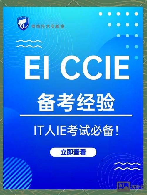 招聘 ccie dc