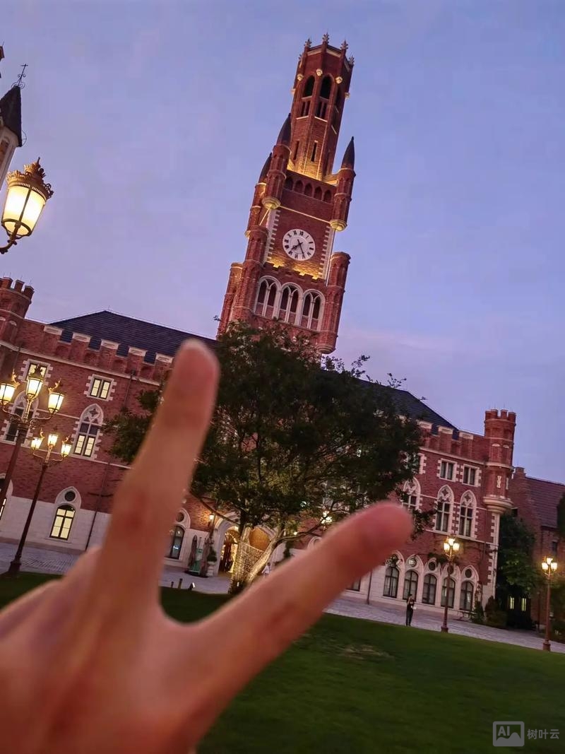 阿里 招聘 华为