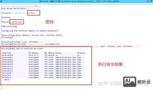 思科查看所有配置命令
