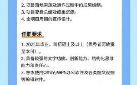 Insight Manager招聘，核心能力与经验要求是什么？