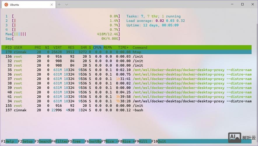 终端命令行下载