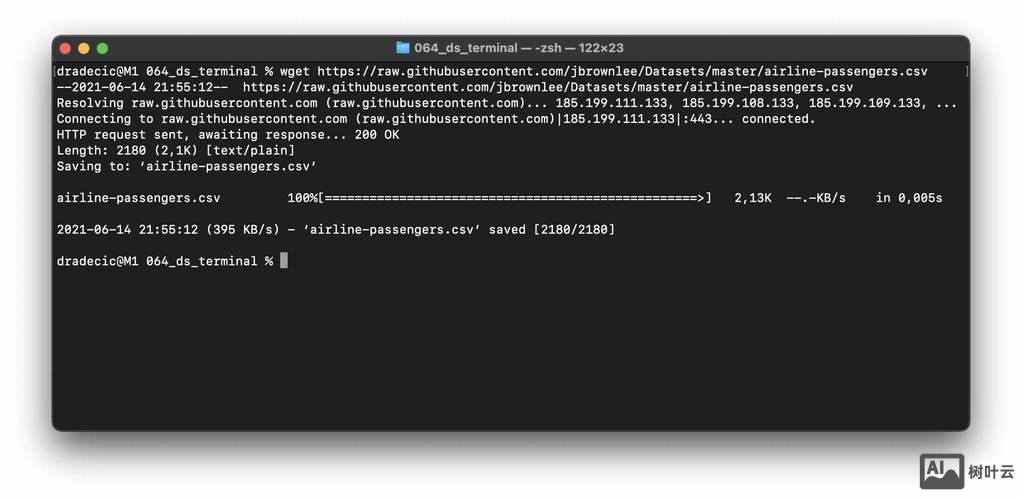 终端命令行下载