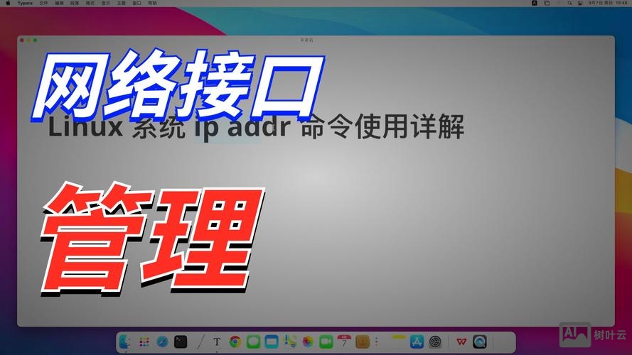 怎么用命令配置ip