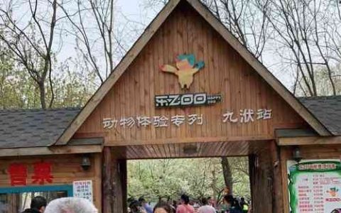 乐zoo招聘什么岗位？要求有哪些？