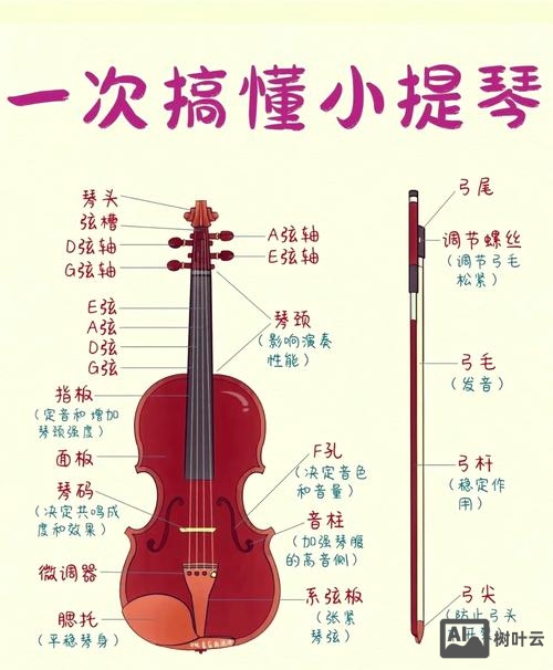小提琴如何不同音