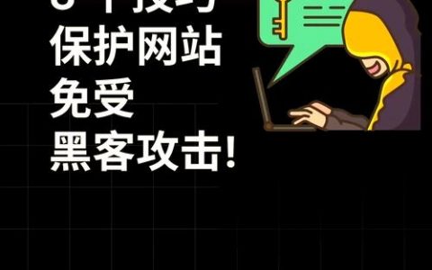 网站如何连上网？关键步骤是什么？