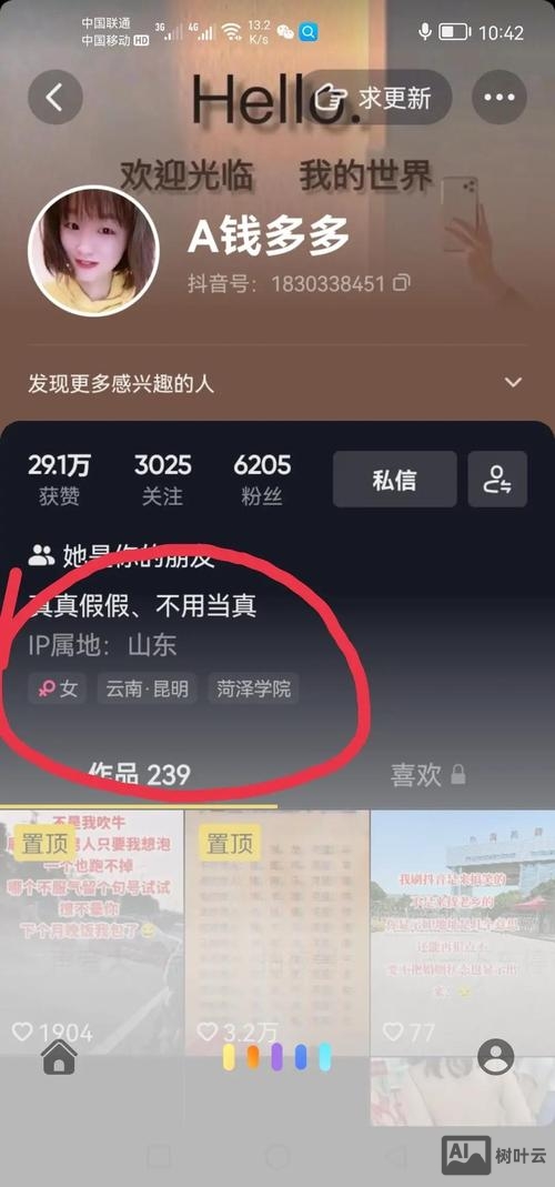 z云邮如何查登录ip