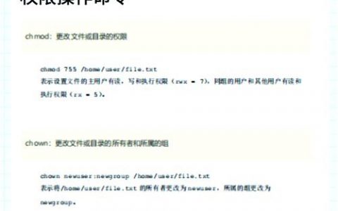 shell命令存储在Linux系统的哪个位置?