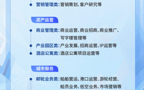 Halcon开发岗要求哪些核心技能与经验？