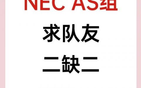 重庆nec招聘有哪些岗位要求？