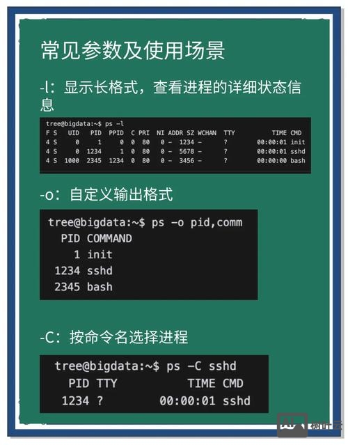 ps图像居中命令