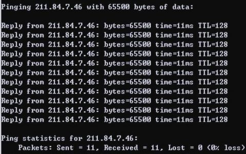 电脑ping命令有哪些实用技巧？