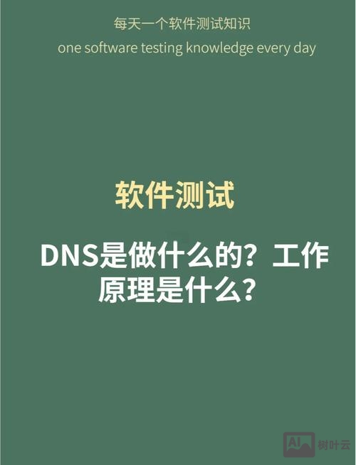 dns如何解析域名解析