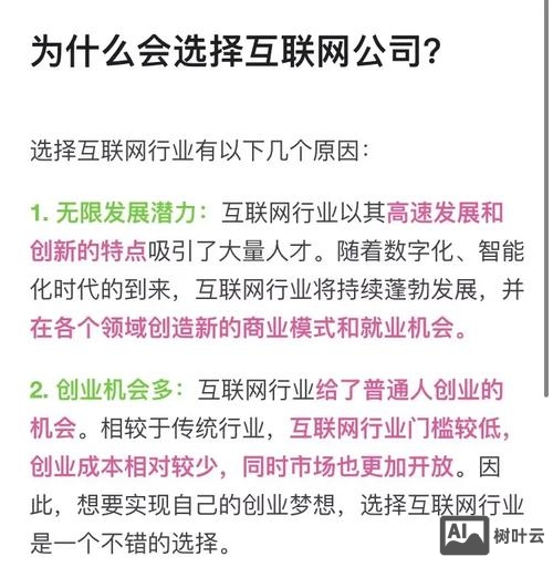 个人如何成为互联网公司