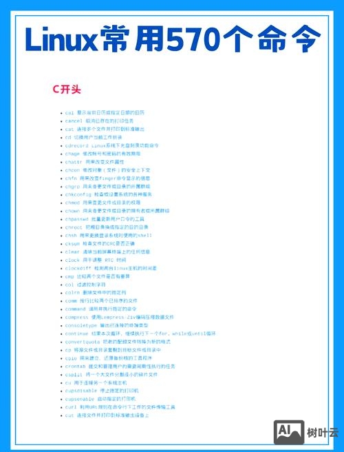 linux的查询命令