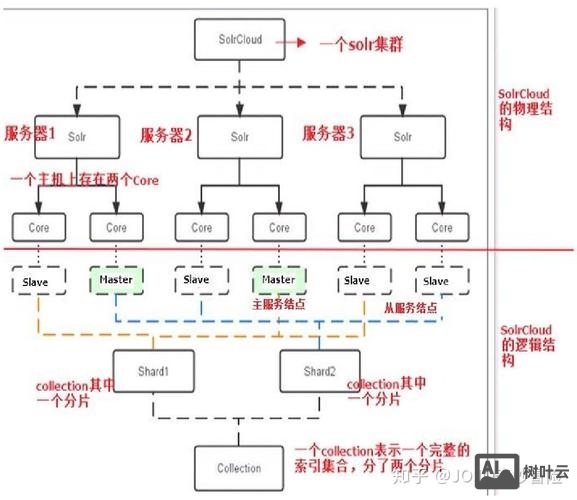 solr集群启动命令