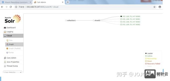 solr集群启动命令