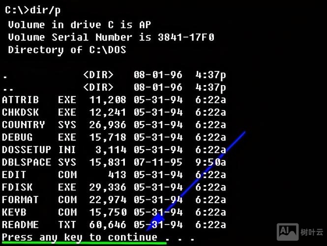 自动执行dos命令