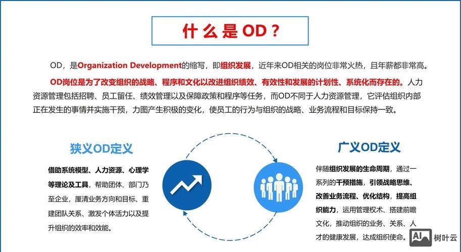 odoo 开发 招聘
