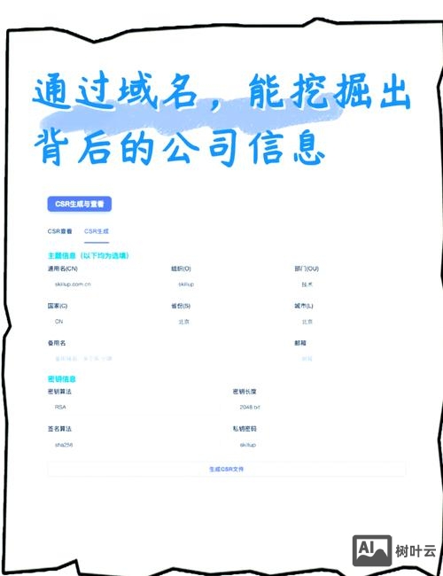 如何查询一个域名历史