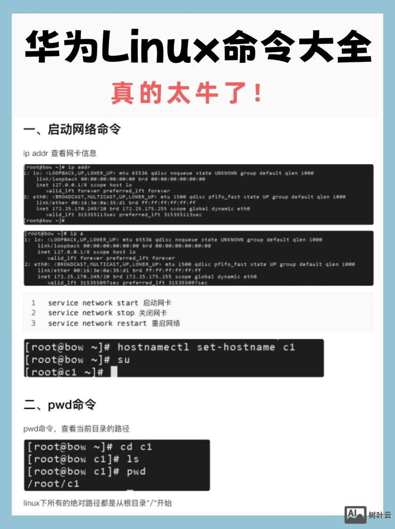 linux命令无法补全