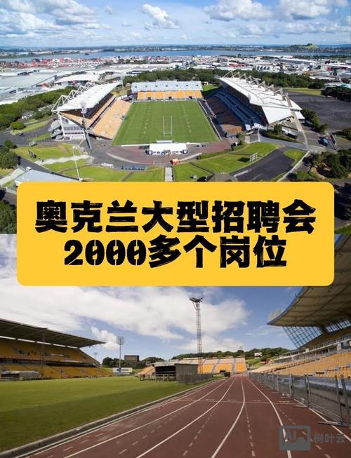 hoegh autoliners 招聘