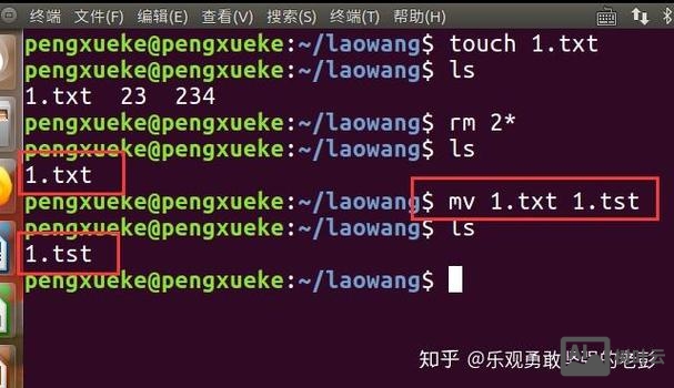 通过mv命令改名