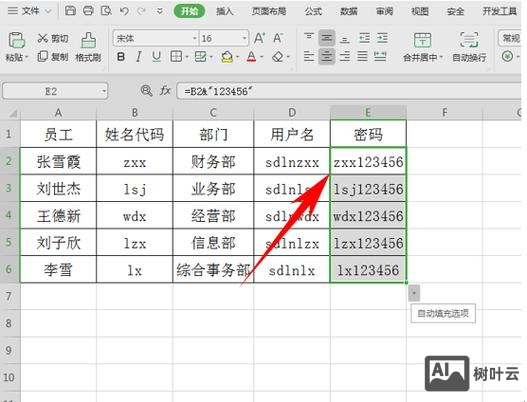 如何设计用户名和密码