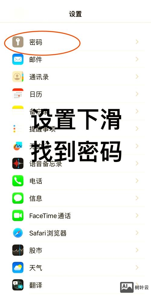 如何查询自己数据库密码