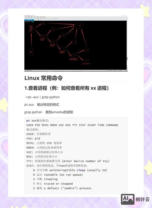 linux下du命令