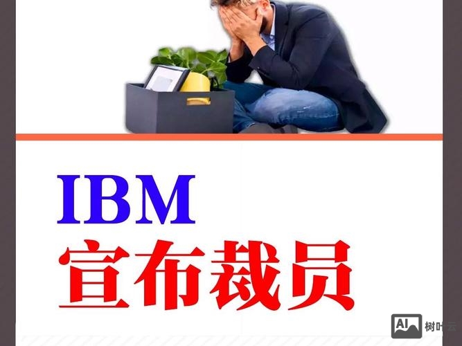 ibm pmo招聘