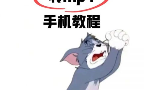 Flash视频如何转制成H5格式？