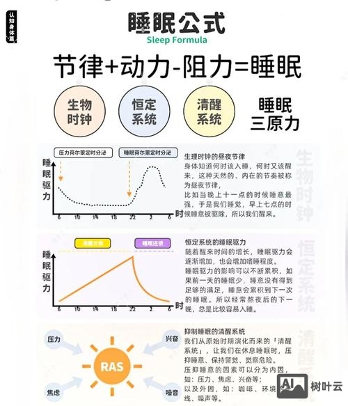 设计师如何掌握合理睡眠
