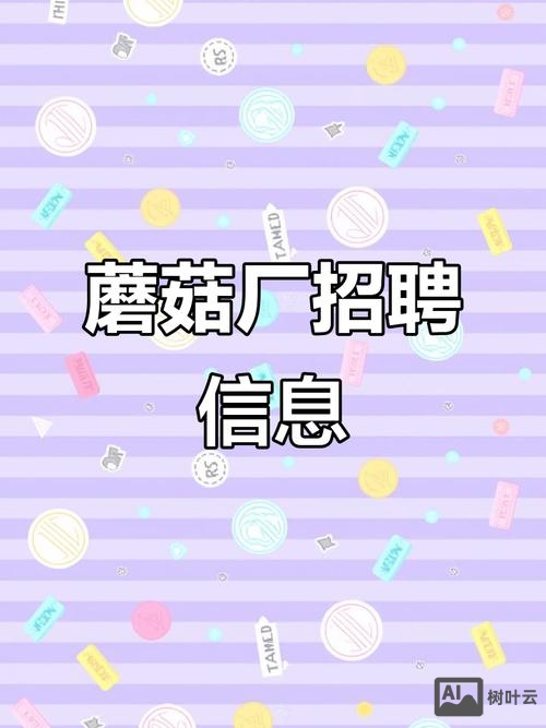 种蘑菇招聘