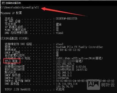 查询域名ip 命令